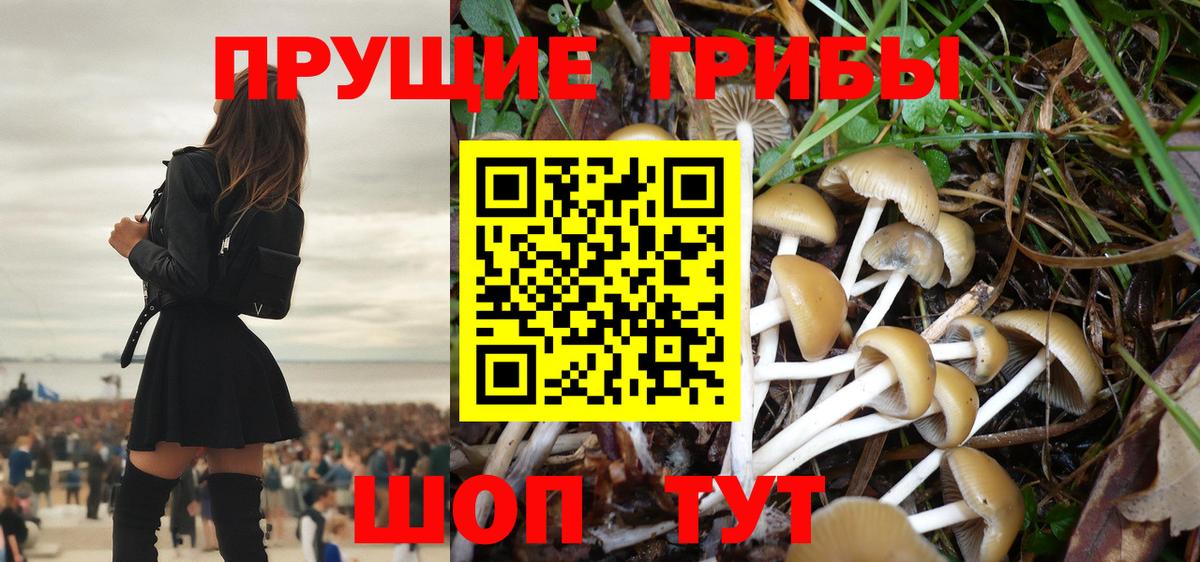 Галлюциногенные грибы мицелий  Вход с VPN  Вязники 